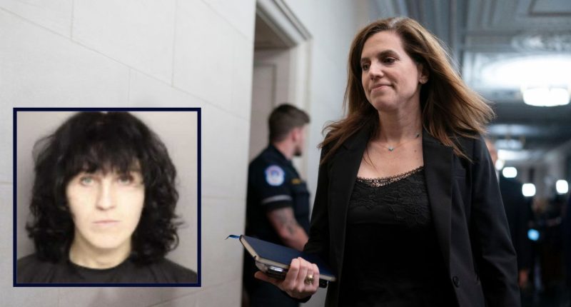 ‘I hope they have makeup wipes in prison’: Lawmaker slams trans community as ‘mentally ill’ after suspect threatened to ‘assassinate’ her on social media