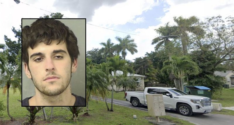 ‘I was insane!’: Man ‘snapped’ and beat mom to death in ‘impulsive overreaction’ over paperwork, attorney said
