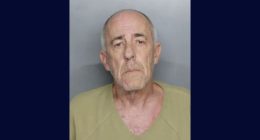 ‘Jumping to violence’: Homeowner opens fire on men selling solar panels door-to-door, cops say