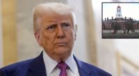 ‘Kneecap the President’s constitutionally vested powers’: Trump admin lashes out at judge for blocking measure to ban foreign students at Harvard