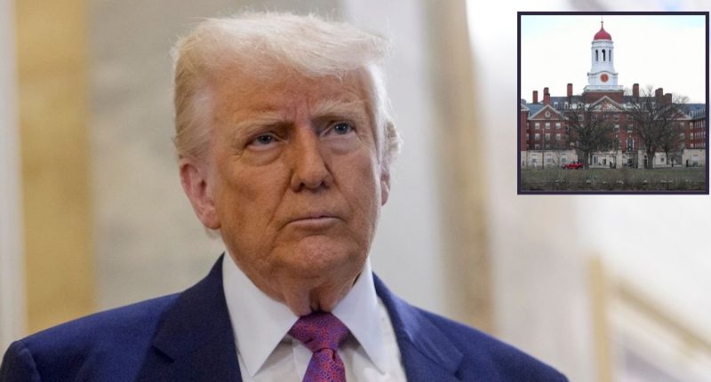 ‘Kneecap the President’s constitutionally vested powers’: Trump admin lashes out at judge for blocking measure to ban foreign students at Harvard
