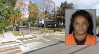 ‘Plowed directly into them’: Woman ran over 4 people in fatal hit-and-run that left ‘fresh blood’ on her car, police say