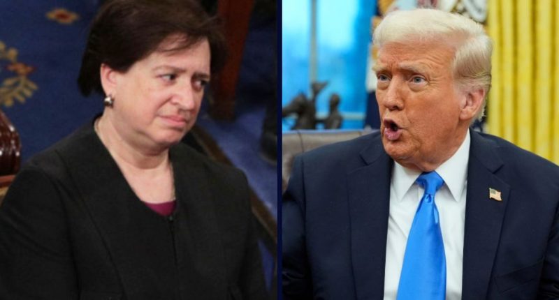 ‘President over our precedent’: Kagan roasts Trump and his ‘subservient’ administration in fiery dissent after SCOTUS gives him green light to purge Biden-appointed agency heads