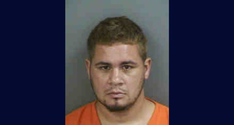 ‘Quick thinking’: Wife, kids escape husband who beat her with tire iron, buried phone before she tricked him into driving to shelter