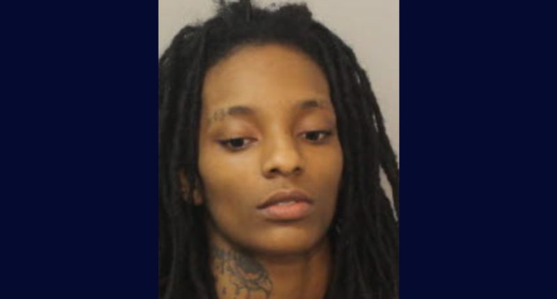 ‘Recalled seeing the blood spray’: Woman fatally beat girlfriend’s 3-year-old boy with tire iron, waited until he was ‘likely deceased’ before taking him to the hospital