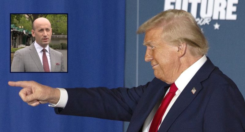 ‘Representative of a deranged authoritarian’: Trump and Stephen Miller blasted by legal experts over ‘active’ discussions about suspending habeas corpus