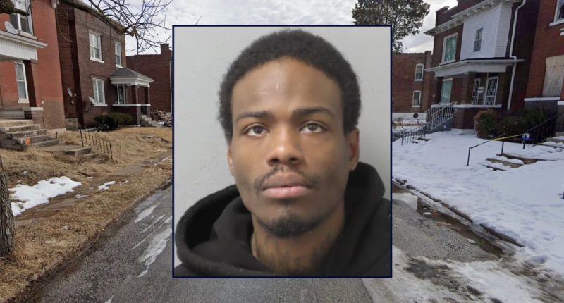 ‘She then played dead’: Child recounted watching pregnant woman killed in front of her, 4 other young kids, police say