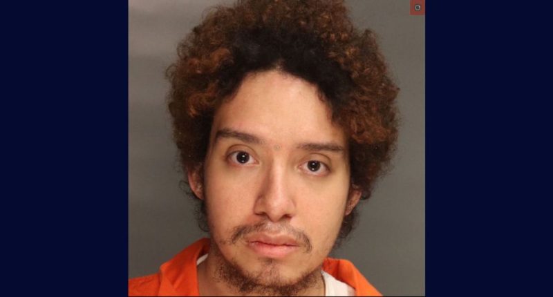 ‘She was the devil’: Man murdered his grandma, set body on fire because she gave cat ‘harmful’ flea medication