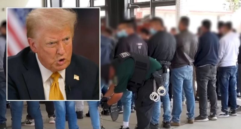 ‘So we can neutralize them’: Trump admin allowed to use taxpayer info for ‘criminal’ immigration enforcement, judge rules