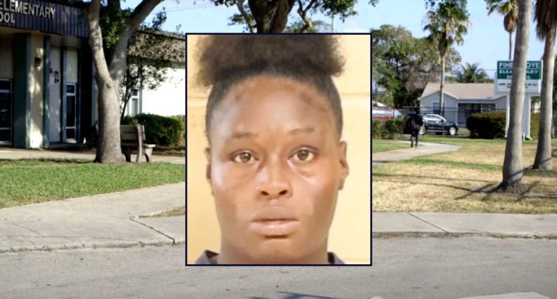 ‘Things didn’t go her way’: Mom ‘tried to run over a group of elementary students’ after they fled from fight, police say