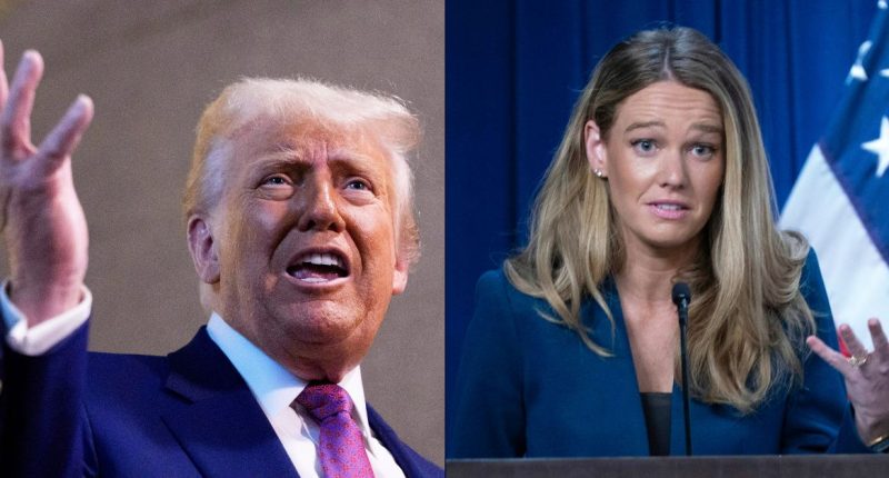 ‘This ruling is deranged’: Trump admin escalates war on judiciary after federal judge says DHS ‘unquestionably’ violated court order