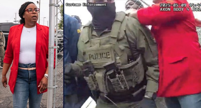 ‘Used each of her forearms to forcibly strike’: Lawmaker facing assault charges made ‘forcible contact’ with ICE and Homeland Security agents, feds say