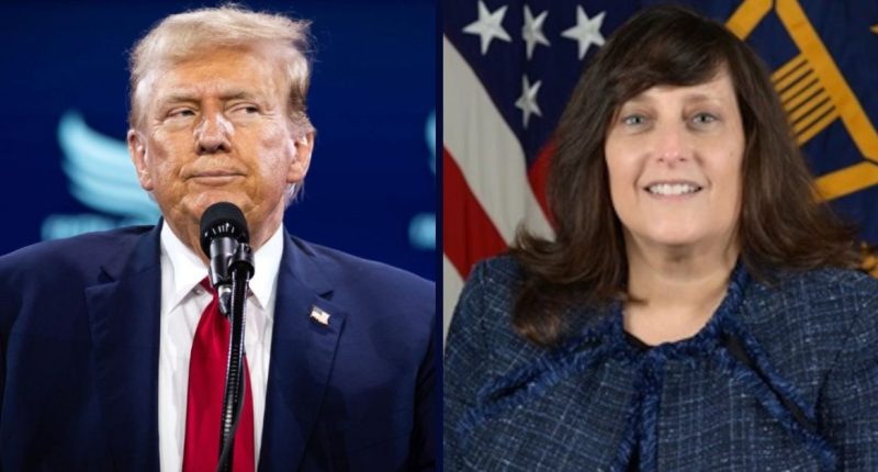 ‘Vile public abuse’: Judge keeps lifeline intact for fired CIA doctor who says ‘internet trolls’ and ‘political extremists’ got her axed by Trump