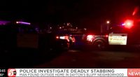 ‘We dropped one’: 14-year-old boy bragged in journal about having ‘hella fun’ stabbing a man 22 times with his buddy after victim insulted his girlfriend’s child, police say