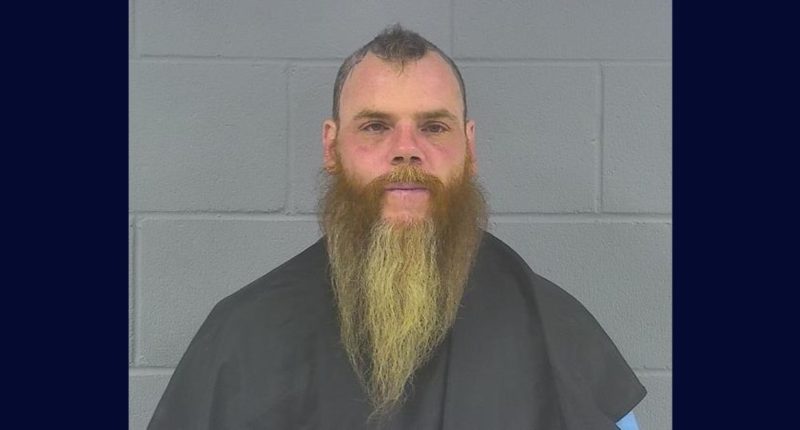 ‘What the f— did I do?’: Armed driver raging over fender bender threatens to kill woman’s baby and tries to rape her, police say