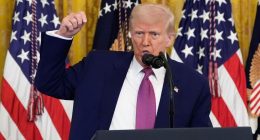 'Does not stick the landing': Judge gives Trump permission to keep DOGE documents beyond FOIA's reach by using Presidential Records Act