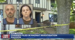 'Does potassium cyanide cloud water?': Woman tried to help boyfriend poison multiple ex-girlfriends in scheme that landed 7 investigators in the hospital, DA says