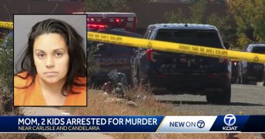 'Go get them gangster': Mom who drove her teenage kids to allegedly chase down and kill a man they believed was stalking them is sentenced