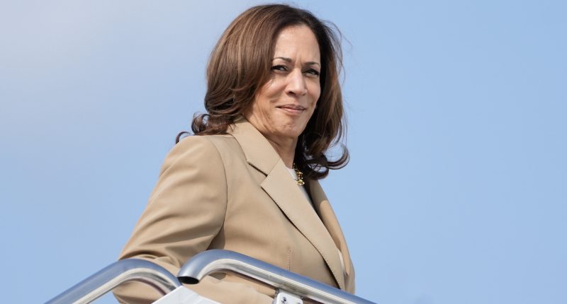 'I will assassinate her': Kamala Harris threat suspect said he'd kill the VP 'if she runs for pres,' feds say