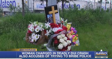 'Like nothing happened': Woman who drove drunk and killed cyclist thought offering $1K to cop would make it go away, police say
