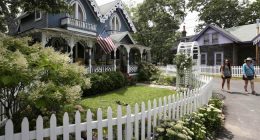 'Oh, Dear, Muffin! Whatever Shall We Do?' The Trauma Of Martha's Vineyard v Illegals Continues