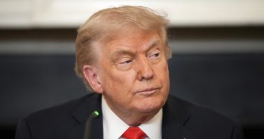 'Oral argument will proceed as scheduled': Appeals court rejects Trump bid to delay his own appeal in E. Jean Carroll defamation case, handing him second loss in one week