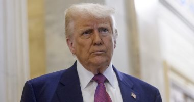 'Public media is a public good': States urge court to reject Trump's attempted defunding of PBS and NPR as an 'unlawful' attack on rural and tribal communities