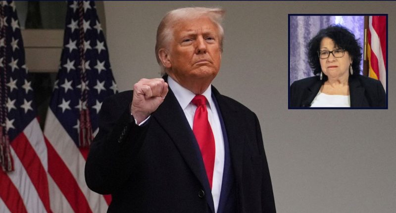 'So gross an abuse': Sotomayor rips SCOTUS for 'rewarding' Trump admin's 'flagrantly unlawful conduct' and 'no-notice' deportations
