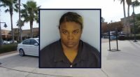 'The toddler had nearly run into traffic': Mom left 3-year-old alone at playground to work at 'fragrance store,' leaving good Samaritan to save boy's life, police say