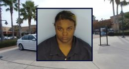 'The toddler had nearly run into traffic': Mom left 3-year-old alone at playground to work at 'fragrance store,' leaving good Samaritan to save boy's life, police say