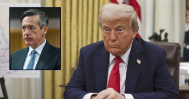 'Undercuts the very notion of our constitutional democracy': Appeals court disbars Trump attorney Kenneth Chesebro 'based on his conviction of a serious crime'