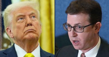 'We simply do not have a king in our country': Whistleblower attorney targeted by Trump says his case is like Big Law firms who successfully defeated similar executive orders