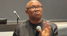 2027: "I’ll fix Nigeria in 2 years, serve one term" - Peter Obi