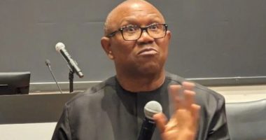 2027: "I’ll fix Nigeria in 2 years, serve one term" - Peter Obi