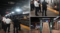 28-year-old stabbed in chest and multiple times in neck on board subway, survives: cops