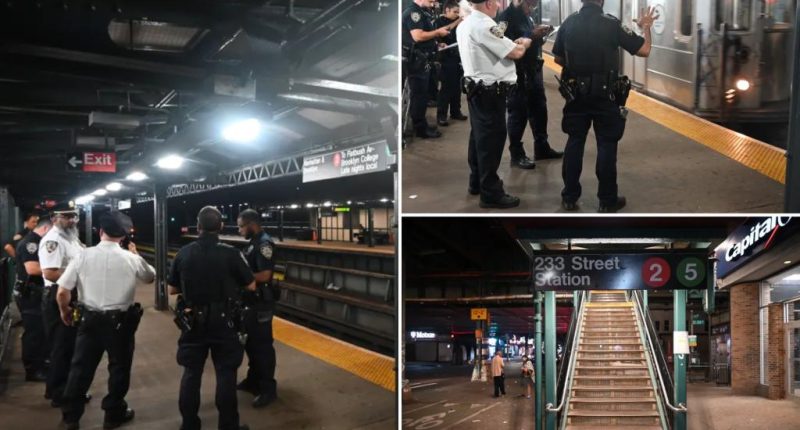 28-year-old stabbed in chest and multiple times in neck on board subway, survives: cops