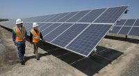 $42 Billion in Two Days: Bidenistas Went on Green Spending Binge in January