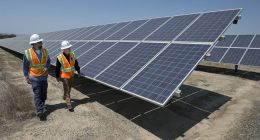 $42 Billion in Two Days: Bidenistas Went on Green Spending Binge in January