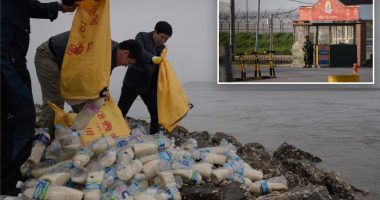 6 Americans detained for trying to send rice and Bibles to North Korea by sea: police
