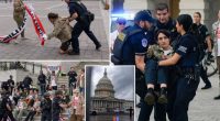 About 60 people arrested after veterans’ anti-ICE demonstration in Washington, DC, police say