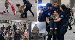 About 60 people arrested after veterans’ anti-ICE demonstration in Washington, DC, police say