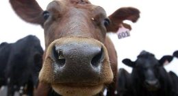 Ag Secretary Jumps Into Fight for NJ Family Farm