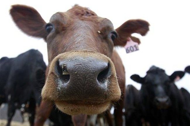 Ag Secretary Jumps Into Fight for NJ Family Farm