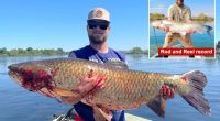 Angler shatters Idaho state record with unforgettable catch