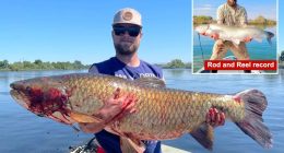 Angler shatters Idaho state record with unforgettable catch