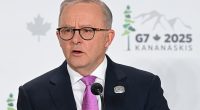 Anthony Albanese's government responds to Trump's attack on Iran - and the one thing it DIDN'T say