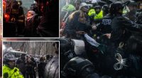 Anti-Israel protesters who blocked NYPD from grenade sue over alleged rough treatment during arrests
