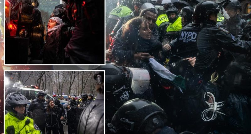 Anti-Israel protesters who blocked NYPD from grenade sue over alleged rough treatment during arrests