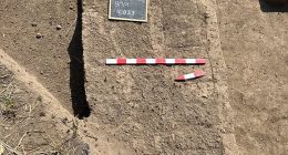 Archaeologists have uncovered the remains of the long-lost Egyptian city of Imet. Revealing the foundations of 2,500-year-old multi-storey 'tower buildings' and temple structures (pictured)