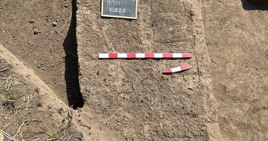 Archaeologists have uncovered the remains of the long-lost Egyptian city of Imet. Revealing the foundations of 2,500-year-old multi-storey 'tower buildings' and temple structures (pictured)